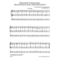 MIDDLESCHULTE W.: COMPLETE ORGAN WORKS VOL. 5