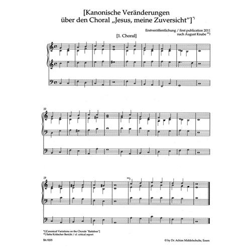 MIDDLESCHULTE W.: COMPLETE ORGAN WORKS VOL. 5