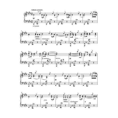 SCHUBERT F.: SONATA IN B FLAT MAJ D960