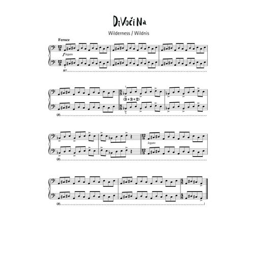 GRAHAM P.: SUBVERSIVE ETUDES JINAKOSTI FOR PIANO
