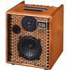AMPLIFICATORE COMBO ONE FORSTRINGS 5T ACUS 50W ONEFOR-S5TW - MADE IN ITALY
