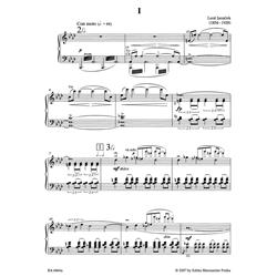 JANACEK L.: THE ETERNAL GOSPEL